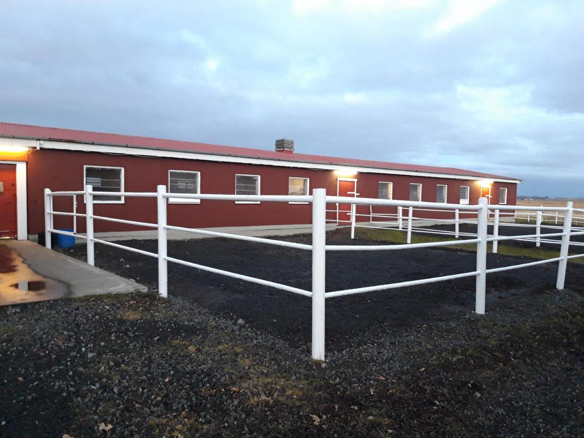 Country Dream - Langholt 2 Hotel Selfoss Exterior photo